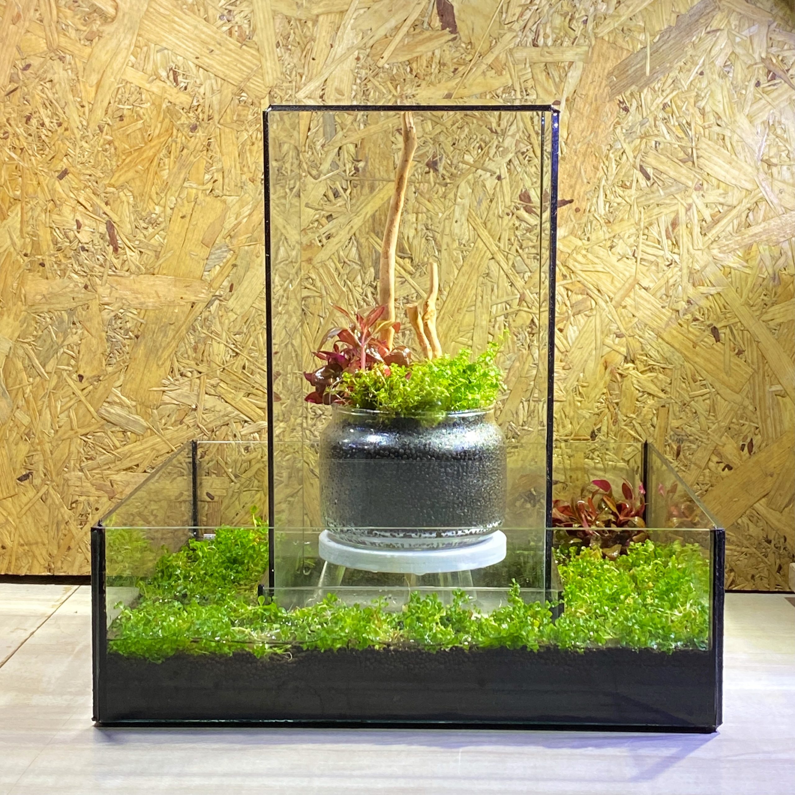 Ultra Clear Tanks (Cubes)