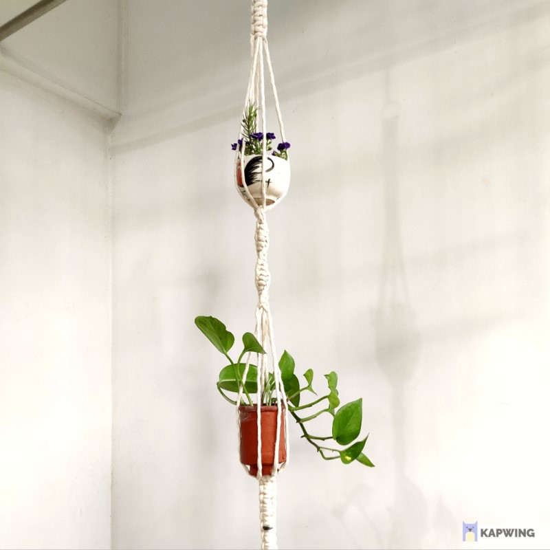 Buy Macramé Floating Plant Holder online at Best Price