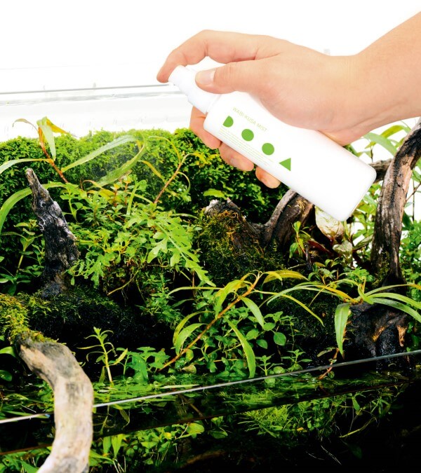 Buy Terrarium Fertilizer Online at Best Price Air Plant