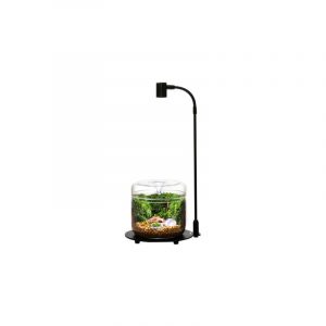 BIOLARK ECO BOTTLE LAMP WITH STAND DX-03