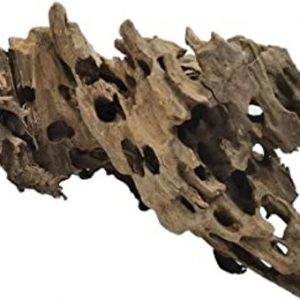 Honeycomb / Dragon Wood (1kg)