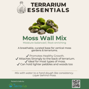 Moss Wall Mix