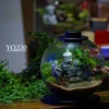 Purepot Terrarium Bowl YQ220