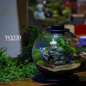 Purepot Terrarium Bowl YQ220
