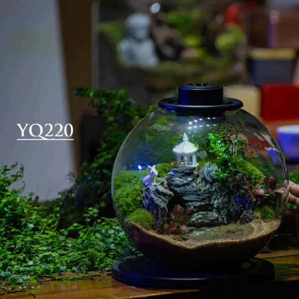 Purepot Terrarium Bowl YQ220