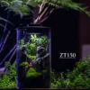 Purepot Terrarium Bottle ZT150