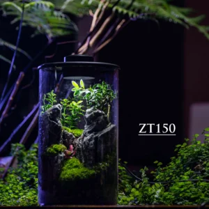 Purepot Terrarium Bottle ZT150