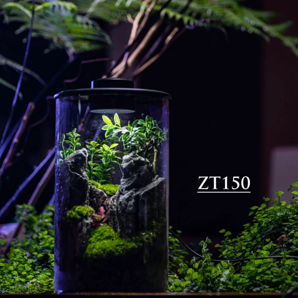 Purepot Terrarium Bottle ZT150