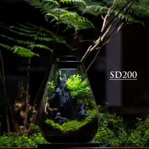 Purepot Terrarium Bottle SD200