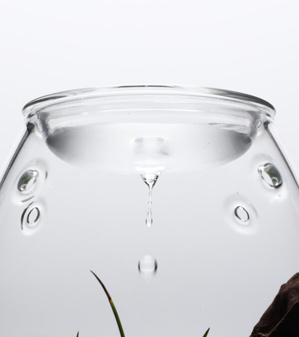 DOOA Glass Pot SHIZUKU