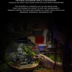 Purepot Terrarium Bowl YQ220
