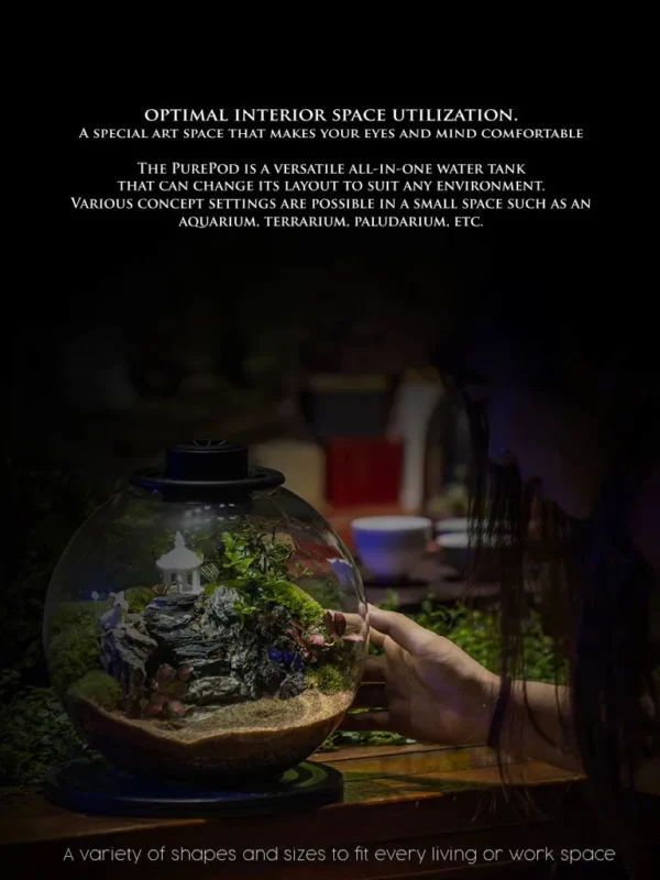 Purepot Terrarium Bowl YQ220