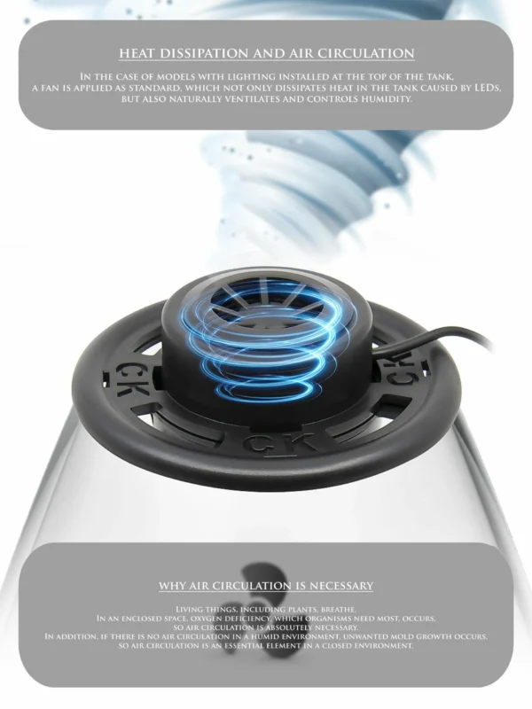 Purepot Terrarium Bowl YQ220