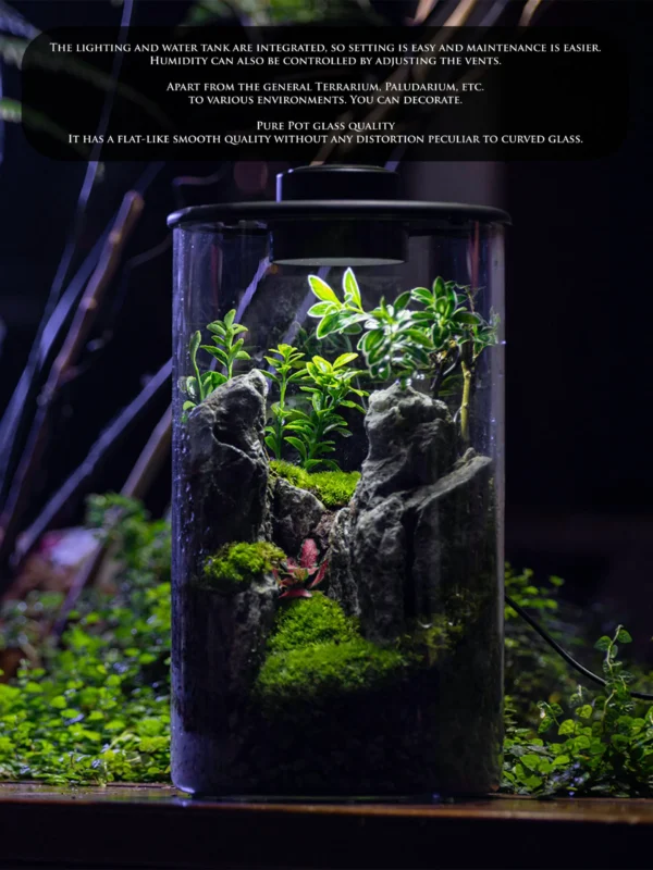 Purepot Terrarium Bottle ZT150